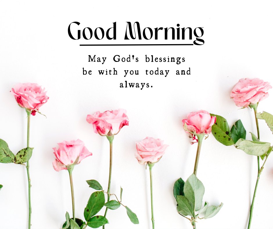 A beautiful good morning blessings image featuring a row of pink roses against a white background with the message "Good Morning. May God's blessings be with you today and always." The delicate roses and clean design create a serene and uplifting atmosphere, perfect for sharing inspirational and religious morning greetings. This image conveys a sense of divine blessings and peace, making it ideal for starting the day with positive and spiritual thoughts.