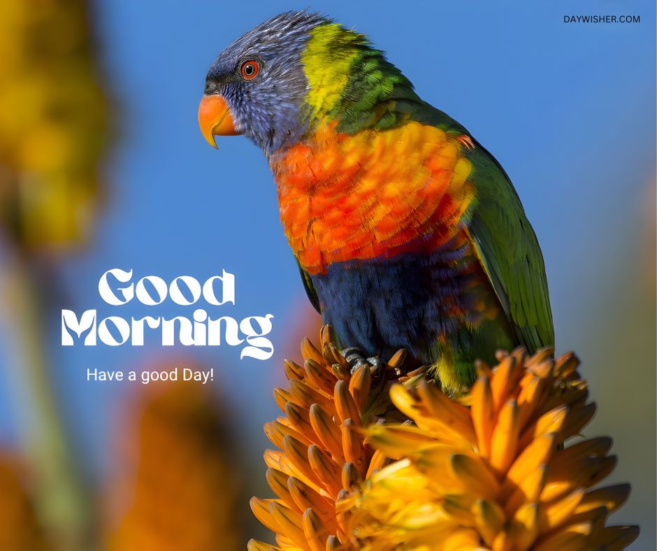 Colorful rainbow lorikeet perched on a vibrant orange aloe flower with the text 'Good Morning - Have a good Day!' against a bright blue sky background, promoting a cheerful start to the day