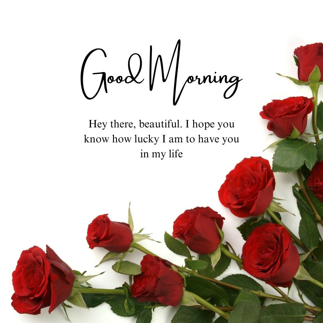 An elegant arrangement of fresh red roses scattered across a pristine white background, accompanied by a loving "Good Morning" message expressing gratitude and admiration. This image perfectly blends romantic floral beauty with a heartfelt sentiment, making it an ideal morning wish to remind someone of their special place in your life.