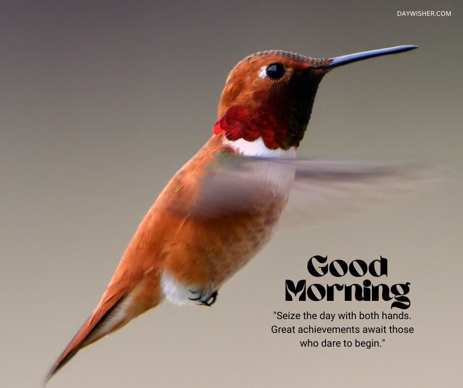 An elegant image of a hummingbird in flight, showcasing its rich brown and vibrant red plumage against a muted background, with the motivational text 'Good Morning - Seize the day with both hands. Great achievements await those who dare to begin.'