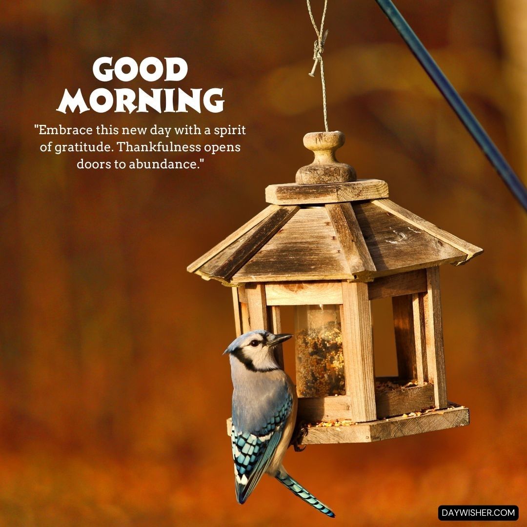 A blue jay perched on an old wooden birdhouse against a warm autumn background, with the thoughtful message 'Good Morning - Embrace this new day with a spirit of gratitude. Thankfulness opens doors to abundance.' 