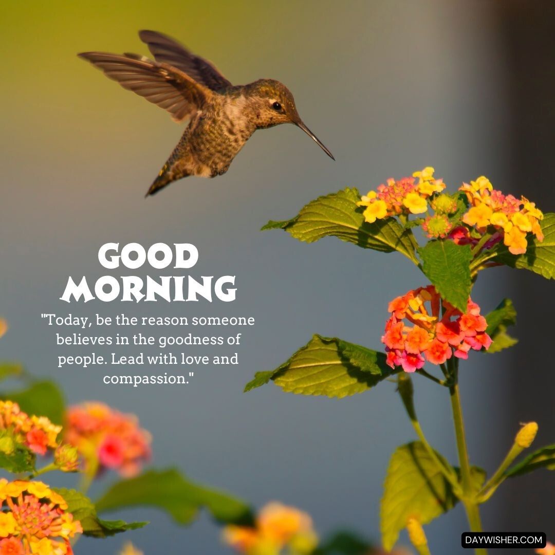 A hummingbird in flight near vibrant multicolored flowers at dawn, capturing a moment of natural beauty with the message 'Good Morning - Today, be the reason someone believes in the goodness of people. Lead with love and compassion.'