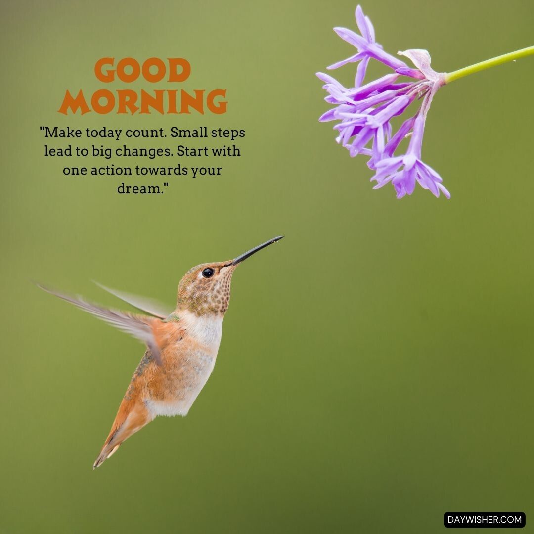 A hummingbird in mid-flight approaching a lavender flower, its orange and brown feathers vibrant against a soft green background, with the inspiring text 'Good Morning - Make today count. Small steps lead to big changes. Start with one action towards your dream.' 