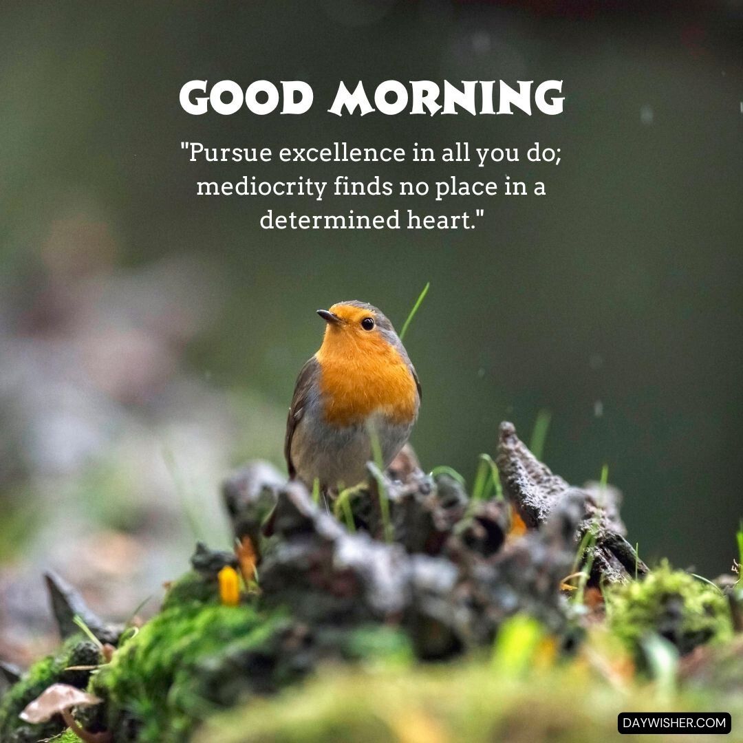 A robin standing alert on a mossy forest floor surrounded by autumn leaves, under a light mist, with the inspiring message 'Good Morning - Pursue excellence in all you do; mediocrity finds no place in a determined heart.'