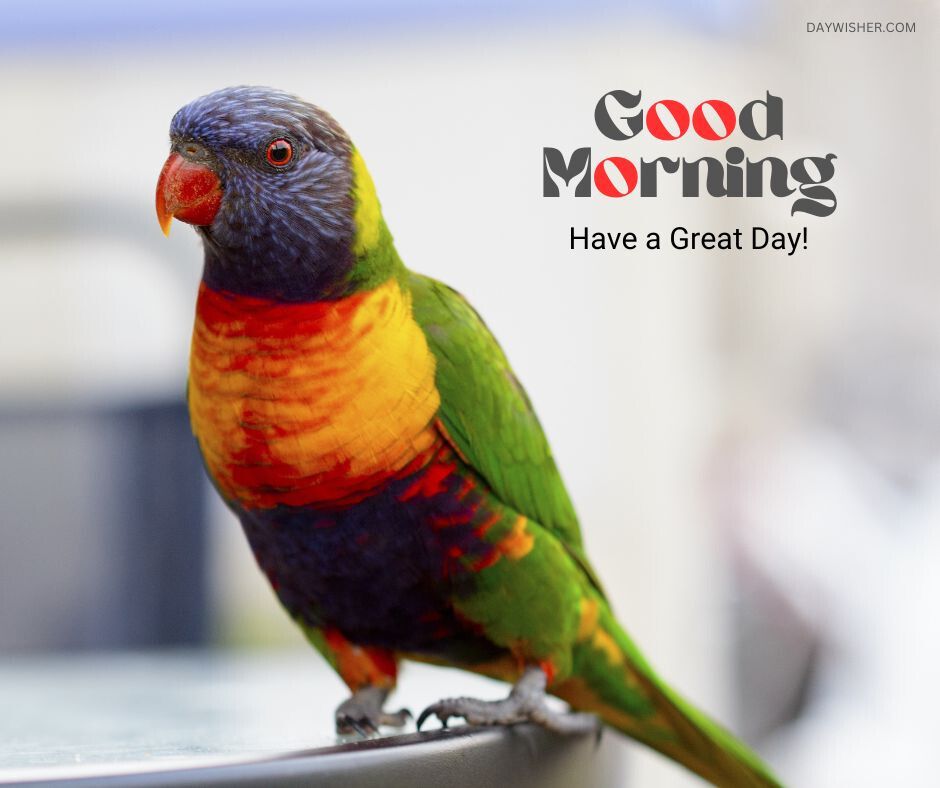 A close-up of a vibrant rainbow lorikeet with a striking combination of blue, green, orange, and red feathers, perched calmly, accompanied by the greeting 'Good Morning - Have a Great Day!' 