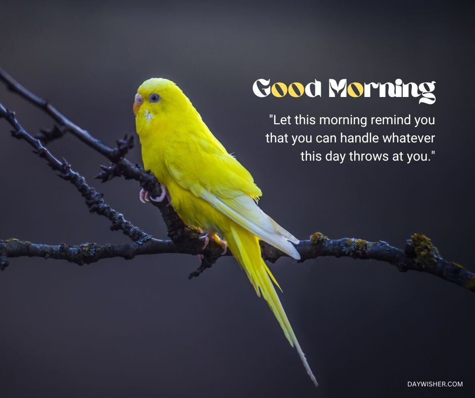 A vivid yellow parakeet perched on a dark branch, contrasting sharply against a muted background, with the encouraging text 'Good Morning - Let this morning remind you that you can handle whatever this day throws at you.' 