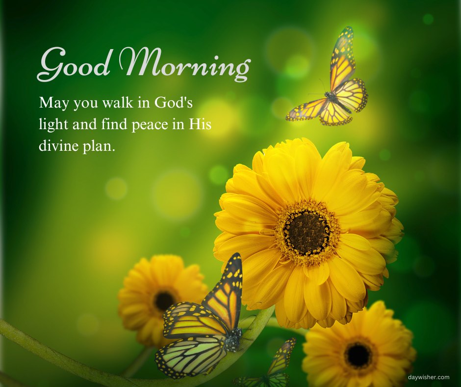 A vibrant and uplifting image featuring yellow flowers and butterflies against a green background with the text "Good Morning. May you walk in God's light and find peace in His divine plan." This beautiful and inspirational good morning blessing is perfect for sharing a message of peace and divine guidance.