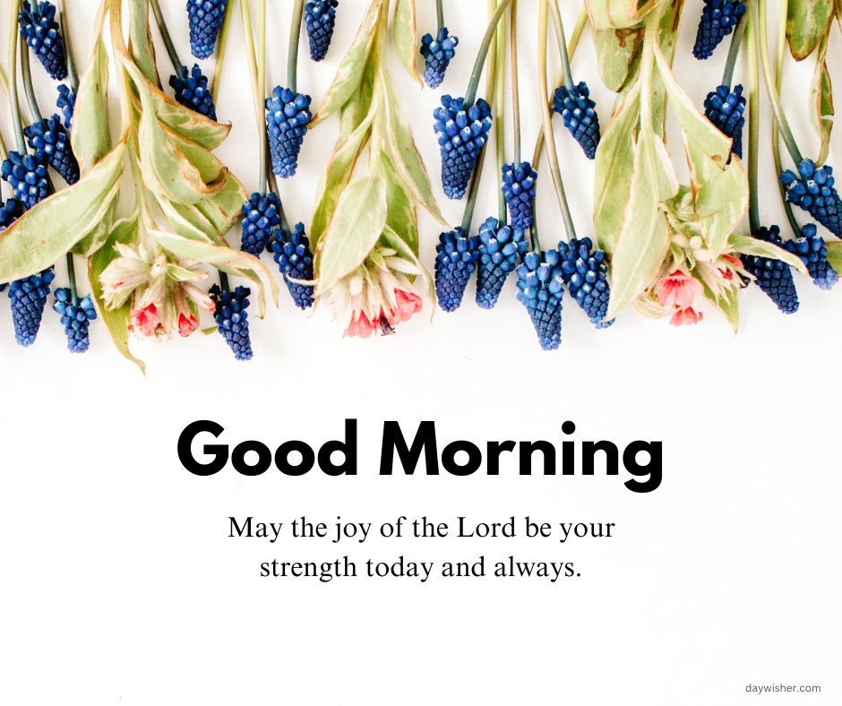 Inspirational good morning blessings image adorned with a row of graceful flowers and berries, featuring vibrant pink blossoms and rich blue grape hyacinths against a crisp white background. The message, 'Good Morning! May the joy of the Lord be your strength today and always,' provides a heartwarming reminder of spiritual joy and enduring support. This elegant and refreshing design is perfect for conveying a sense of hope and encouragement in the morning.