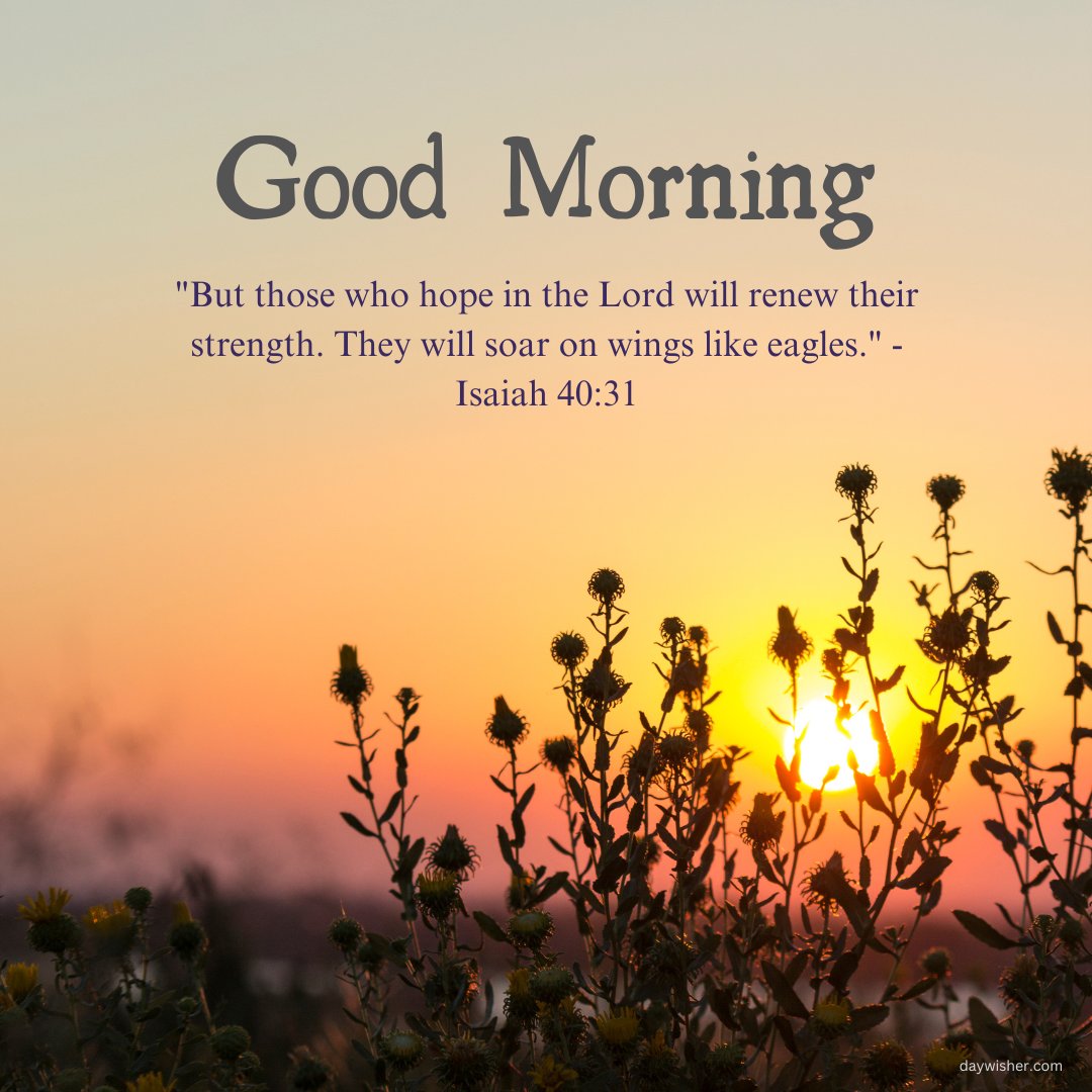 Beautiful good morning blessings image featuring a serene sunrise behind wildflowers with the inspirational quote from Isaiah 40:31, 'But those who hope in the Lord will renew their strength. They will soar on wings like eagles.' This image evokes a sense of hope and renewal, perfect for starting the day with spiritual inspiration.