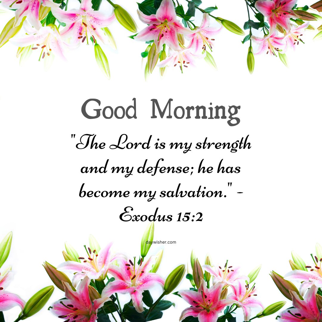 Religious good morning blessings image featuring a stunning arrangement of pink lilies with the powerful verse from Exodus 15:2, 'The Lord is my strength and my defense; he has become my salvation.' The vibrant flowers against a pure white background symbolize purity and renewal, echoing the message of strength and salvation. This beautiful and uplifting image is perfect for starting the day with spiritual encouragement and a reminder of divine protection.