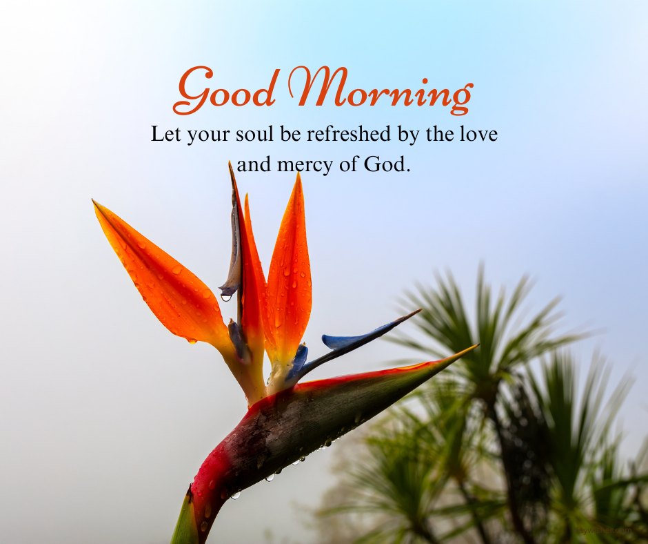 A lush and vibrant image featuring a bouquet of pink and white flowers with green foliage, accompanied by the text "Good Morning. Let your soul be refreshed by the love and mercy of God." This beautiful and inspirational good morning blessing is ideal for sharing a message of divine love and mercy.