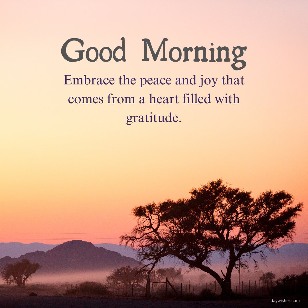 A tranquil morning scene with a silhouette of trees against a colorful sunrise sky, accompanied by the text "Good Morning. Embrace the peace and joy that comes from a heart filled with gratitude." This image beautifully captures the essence of a peaceful and inspirational good morning blessing, perfect for sharing a positive and uplifting message.