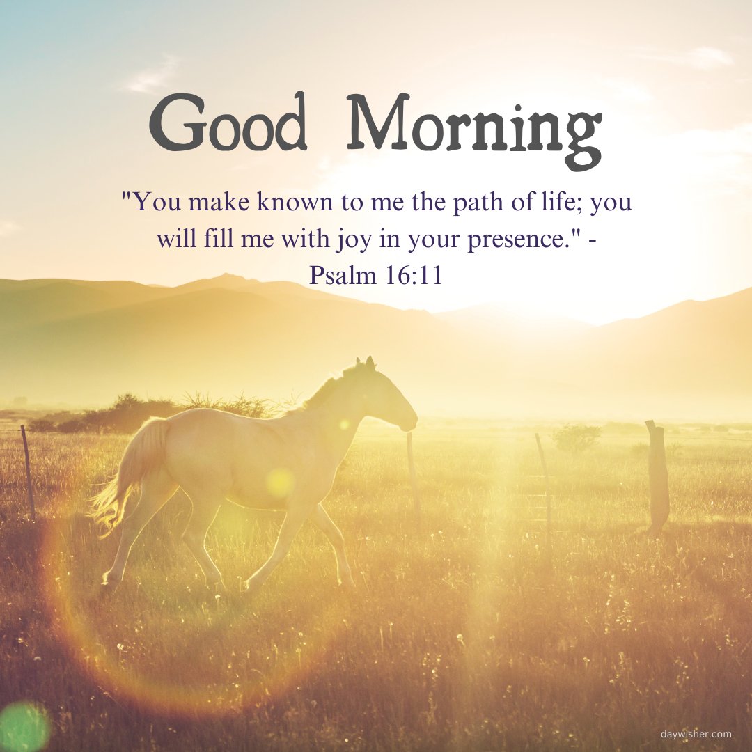 Religious good morning blessings image capturing the tranquil beauty of a horse galloping through a sunlit meadow with the inspirational Bible verse from Psalm 16:11, 'You make known to me the path of life; you will fill me with joy in your presence.' This image evokes a sense of freedom and joy, ideal for a spiritually uplifting start to the day.