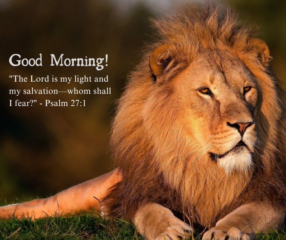 A majestic image of a lion resting on the grass, accompanied by the text "Good Morning! 'The Lord is my light and my salvation—whom shall I fear?' - Psalm 27:1." This beautiful and inspirational good morning blessing is perfect for sharing a message of strength and divine protection.