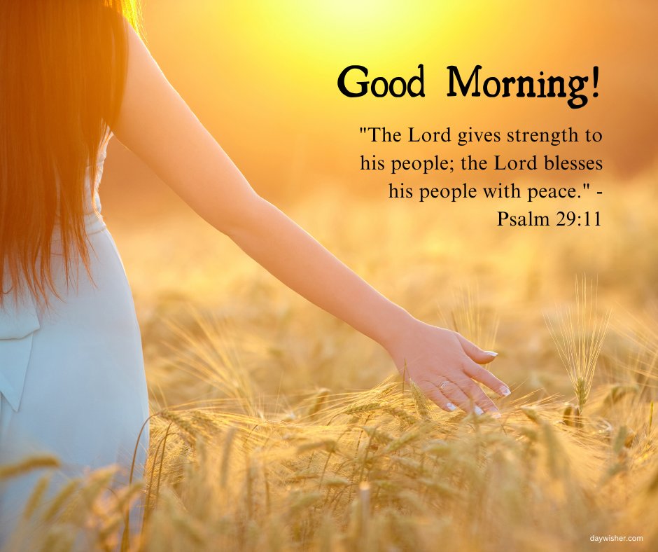 Inspirational good morning blessings image featuring a woman gently touching the tips of golden wheat in a field, bathed in a warm sunrise light. The image is paired with a powerful verse from Psalm 29:11, 'The Lord gives strength to his people; the Lord blesses his people with peace.' This evocative scene conveys a message of strength and serenity, making it a perfect visual representation for a peaceful and blessed morning.