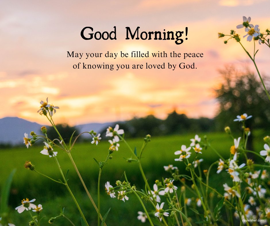 Inspirational good morning blessings image capturing a peaceful sunrise over a field dotted with delicate wildflowers. The message, 'Good Morning! May your day be filled with the peace of knowing you are loved by God,' enhances the serene vibe of the landscape, evoking a sense of comfort and divine love. This image perfectly conveys the tranquility and reassurance of a spiritually enriched morning