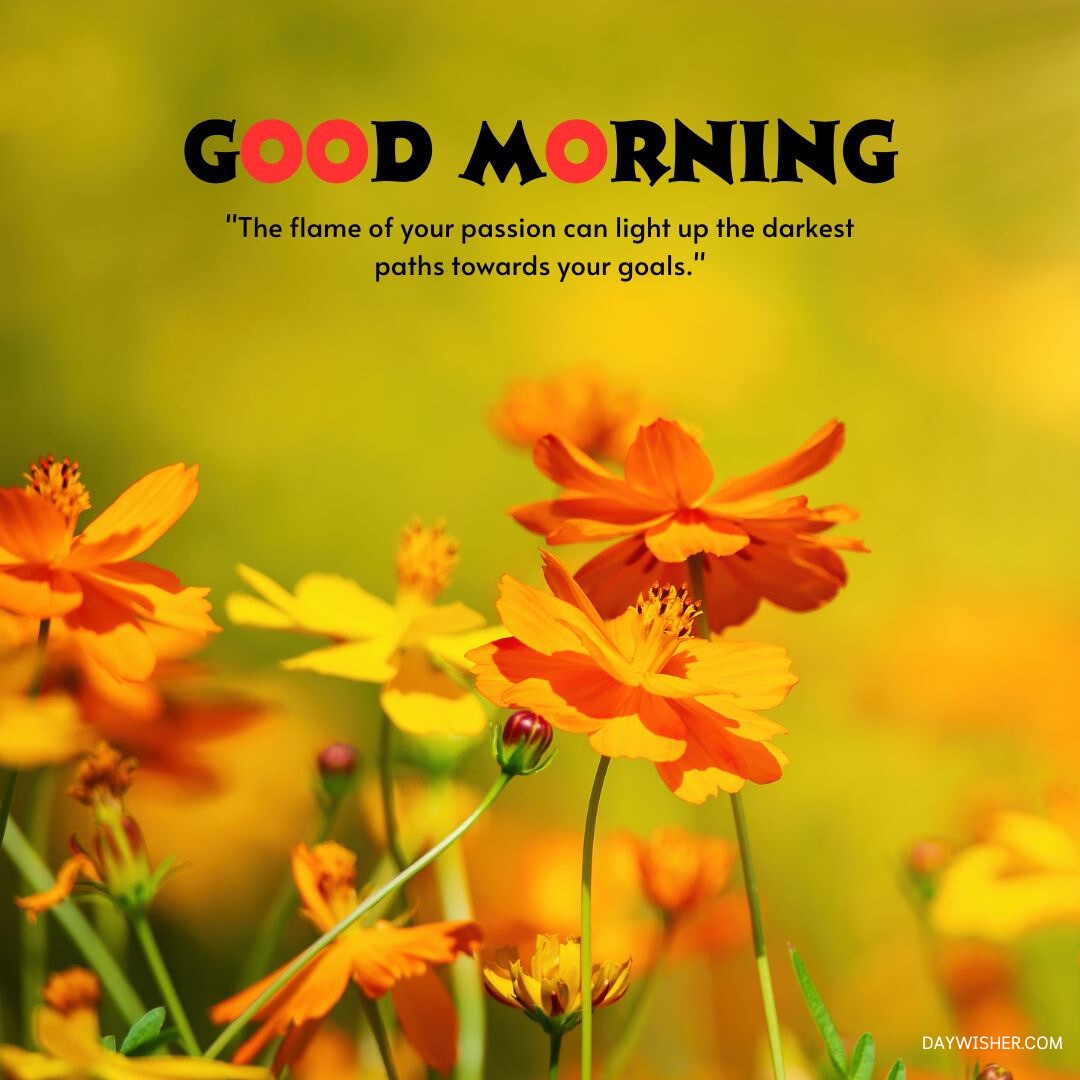 Vivid orange flowers bloom vibrantly against a blurred yellow and green background, evoking a sunny and cheerful morning. This good morning flowers image is perfect for inspiring passion and optimism, complete with a quote about the power of passion to illuminate paths towards one's goals. Ideal for sharing as an uplifting good morning flowers image.