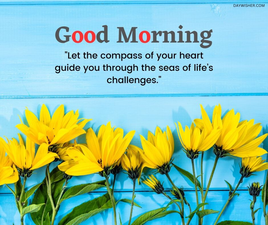 A row of bright yellow flowers against a vibrant blue wooden background, creating a striking contrast. Each flower stands tall, symbolizing guidance and resilience, accompanied by a good morning quote about following your heart's compass. Ideal for use as good morning flowers images to inspire and motivate.