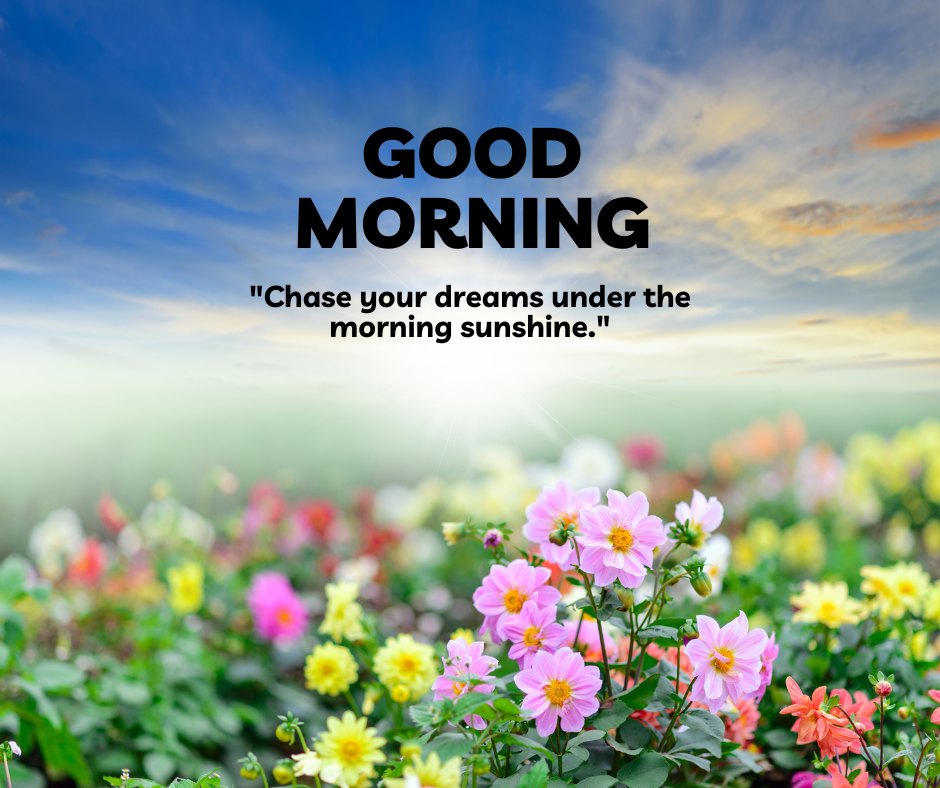 A vibrant good morning sunshine image filled with colorful flowers under a stunning morning sky, paired with the motivational message "Chase your dreams under the morning sunshine." This image inspires positivity and ambition, ideal for starting the day with energy and a focus on personal goals. Perfect for sending an encouraging and cheerful morning greeting to inspire friends and loved ones to seize the day.