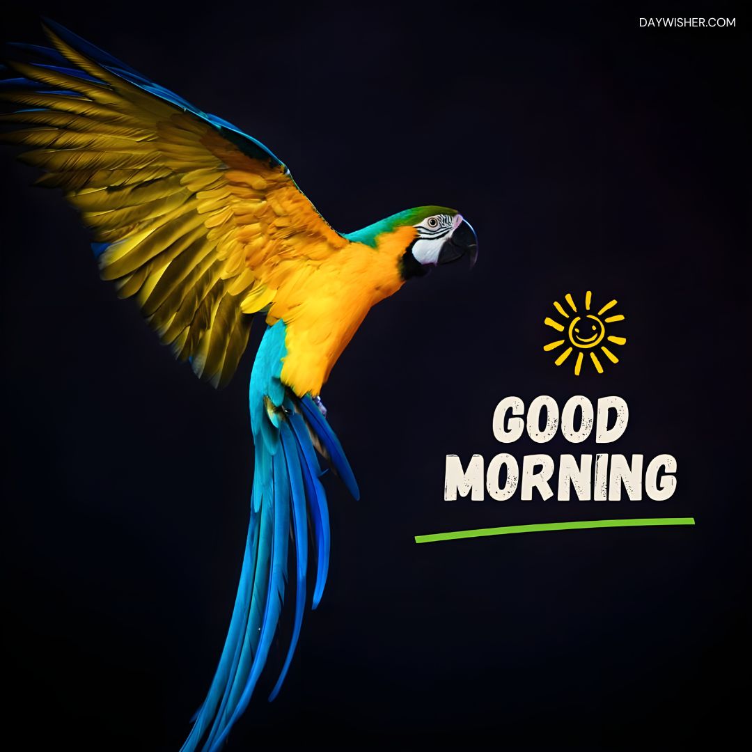 A stunning image of a blue and yellow macaw in mid-flight, wings fully extended, against a dark background. The vibrant plumage of the bird stands out vividly, with rich blues, greens, and golds. The text "Good Morning" and a stylized sun icon are prominently displayed, adding a cheerful greeting to this beautiful bird scene.