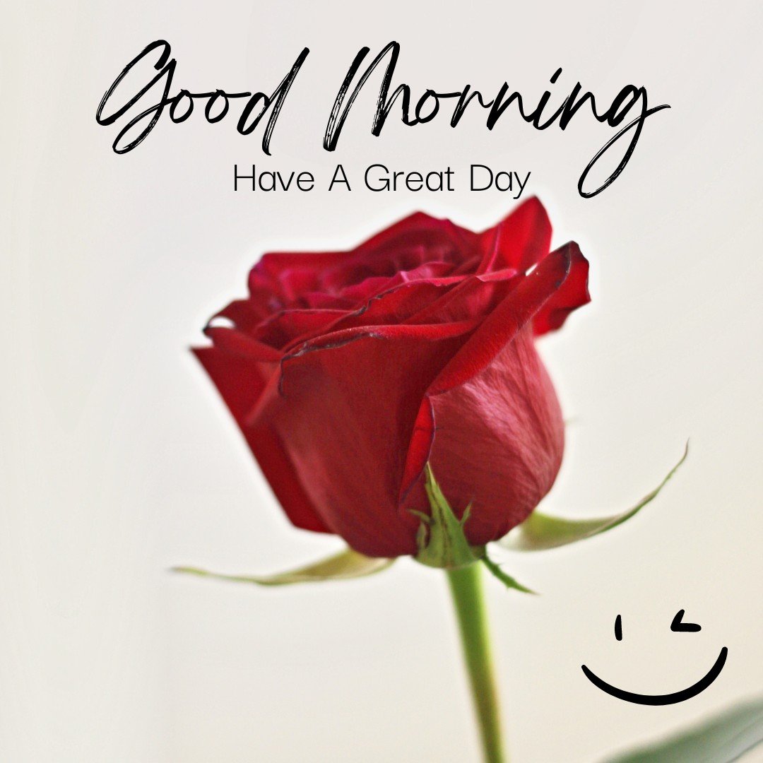 A simple yet elegant image of a single deep red rose with the message "Good Morning, Have A Great Day" in stylish script above. The addition of a small smiling face in the corner of the image adds a touch of warmth and friendliness, perfect for sending a cheerful and uplifting morning greeting.