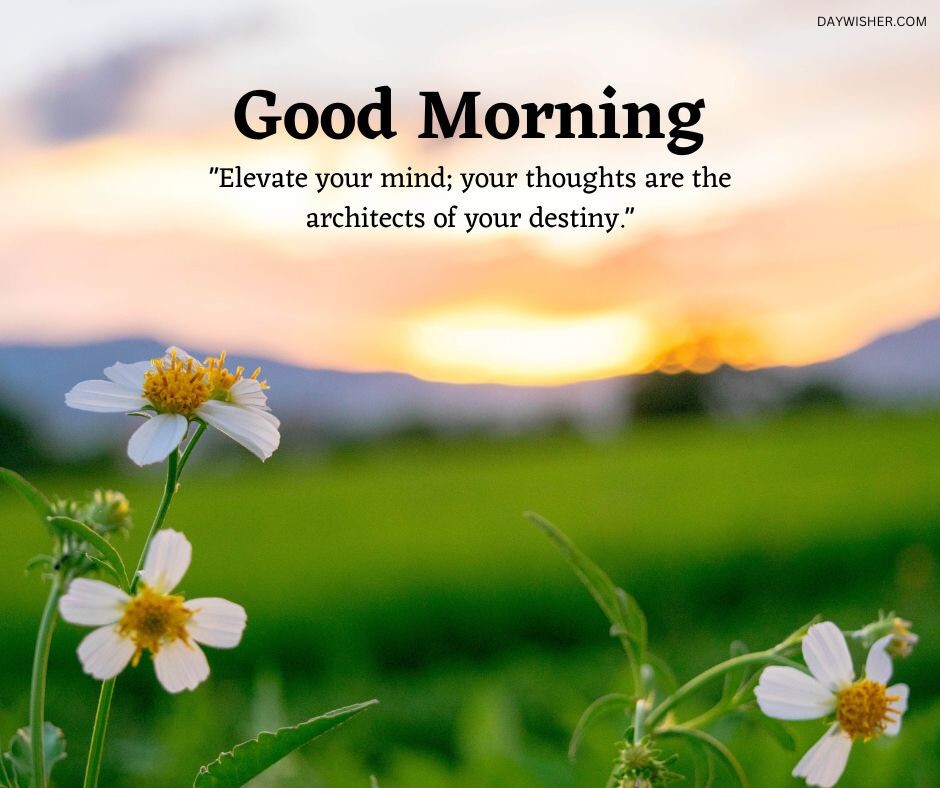 A close-up of delicate white wildflowers with yellow centers, standing in the foreground against a soft-focus backdrop of a vibrant sunrise over a lush green field. The warm hues of the dawn sky blend beautifully with the natural landscape, enhancing the tranquil and uplifting morning scene. The image features an inspirational quote about elevating one's mind, positioned at the top.