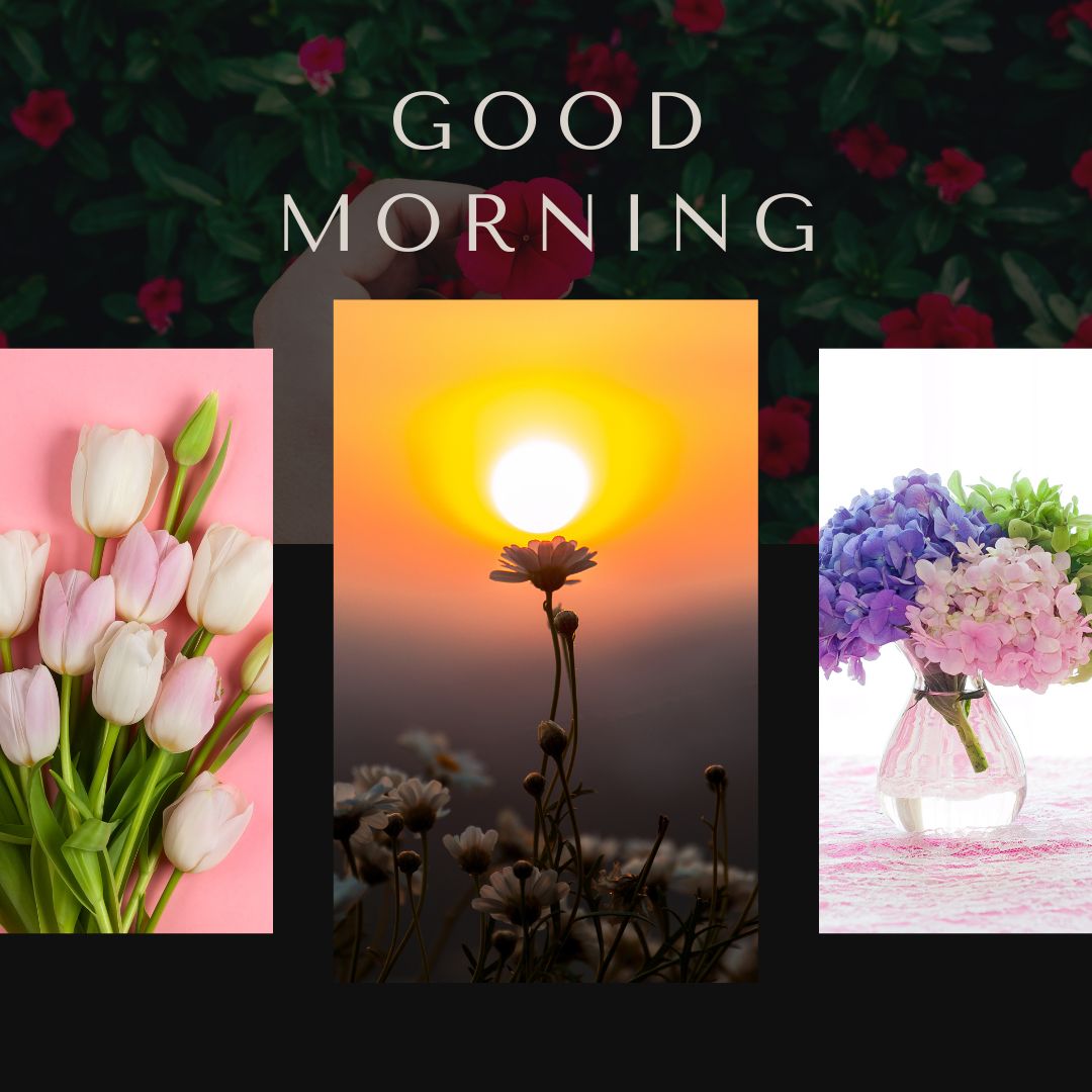 A beautifully curated collage of various good morning flowers images, perfect for starting the day with a burst of nature's beauty. The collage features a section with lush pink tulips against a pink backdrop, a serene scene of a flower silhouetted against a vivid sunrise, and a colorful display of hydrangeas in a glass vase set on a pink surface. Each image captures a unique aspect of floral elegance and the inspiring energy of a new day. This collection is an ideal way to greet the morning, offering visual delight and a message of hope and renewal to anyone who views it.