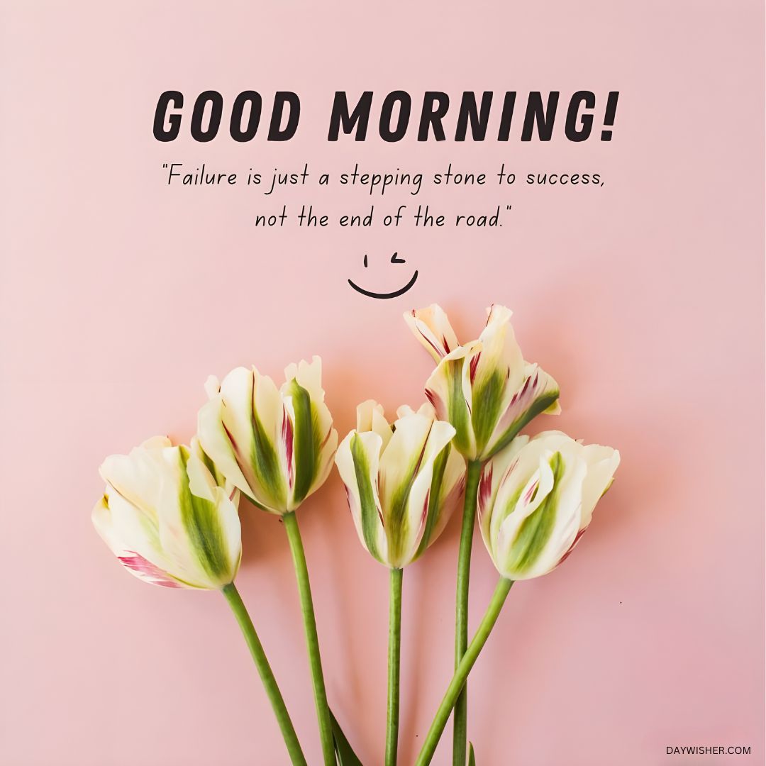 Elegant tulips with unique green and pink streaks presented on a soft pink background, accompanied by a motivational quote for a perfect good morning flowers image.