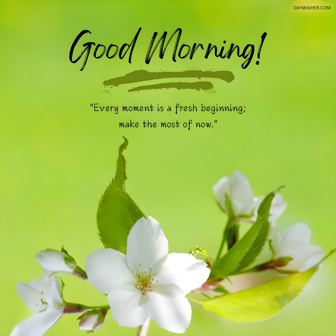  Delicate white blossoms against a vibrant green background with an inspiring good morning message, perfect as a good morning flowers image to celebrate a new beginning.