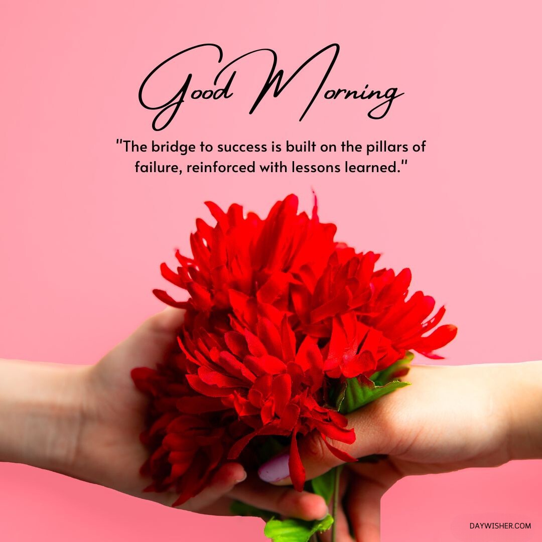 Hands gently holding a vivid red flower against a pink background, symbolizing support and growth. Accompanied by a good morning quote about building success on the pillars of failure, this image is perfect for sharing as good morning flowers images, inspiring reflection and perseverance.