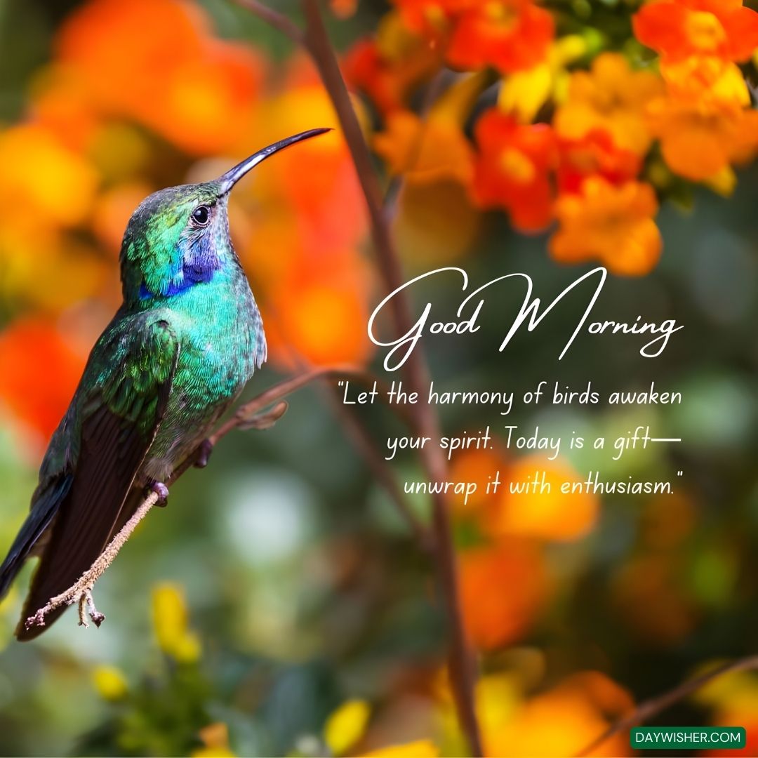 A vibrant image of a hummingbird poised elegantly among vivid orange flowers, underlining the theme of natural beauty and vitality. The accompanying text 'Good Morning - Let the harmony of birds awaken your spirit. Today is a gift—unwrap it with enthusiasm.' inspires a positive and energetic start to the day, reflecting the joy and wonder of nature