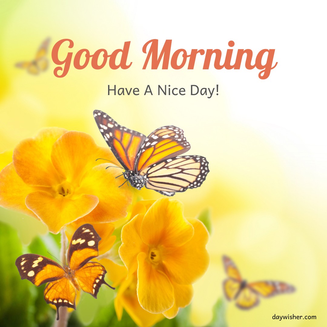 A beautiful scene featuring vibrant yellow flowers and colorful butterflies with the text "Good Morning" and "Have A Nice Day!" The background is a soft, blurred gradient of yellow and green, creating a cheerful and uplifting atmosphere perfect for wishing someone a pleasant morning.