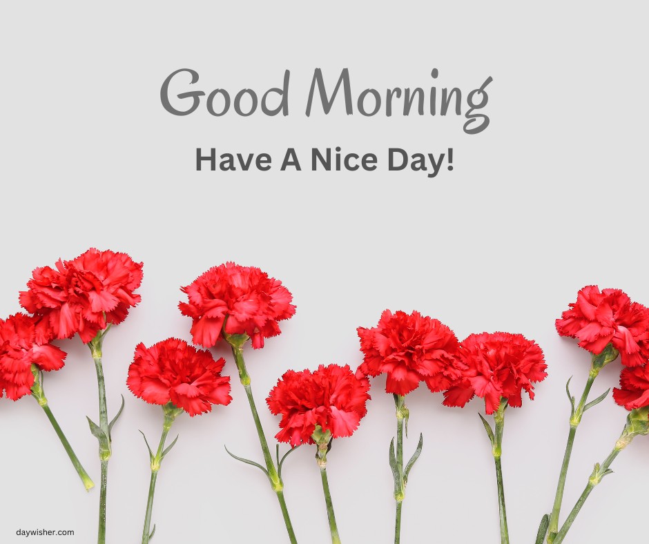 Row of bright red carnations against a soft grey background with the uplifting message 'Good Morning, Have A Nice Day!'—perfect for a cheerful start.