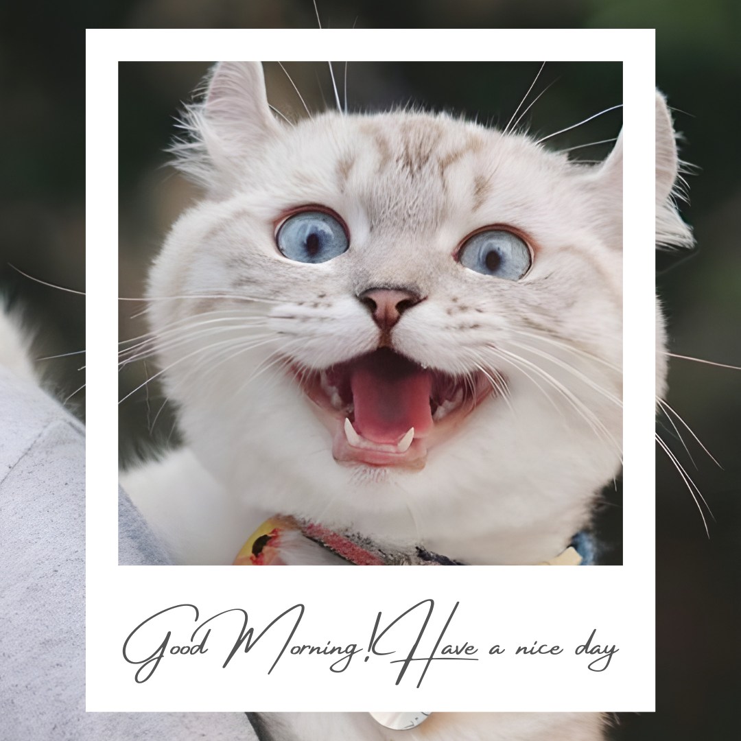 Captivating close-up of a white cat with stunning blue eyes and an amusing wide-open mouth expression, framed in a stylish Polaroid-like border with the greeting 'Good Morning, Have a nice day' elegantly scripted. The image combines surprise, joy, and a touch of whimsy.