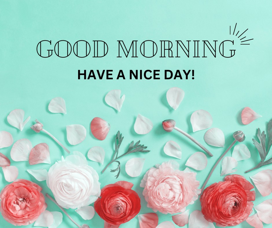 A delightful arrangement of paper flowers in shades of white and red scattered across a turquoise background, all under a cheerful 'Good Morning, Have a Nice Day!' greeting.