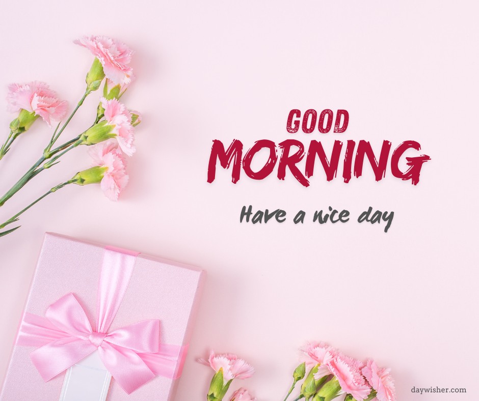 Elegant pink gift box tied with a satin ribbon next to fresh light pink carnations on a soft pink background, with 'Good Morning' and 'Have a nice day' text in artistic red script.