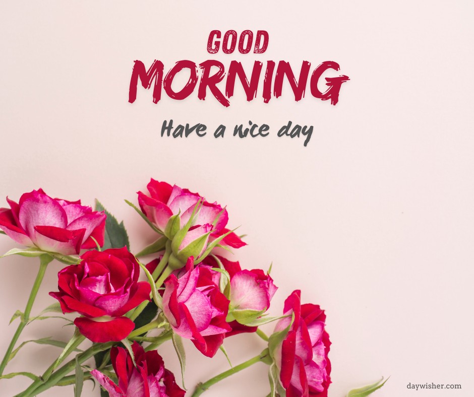 Cluster of vibrant red and white roses with dew drops, positioned near the 'Good Morning' and 'Have a nice day' text in brush script on a light pink background.