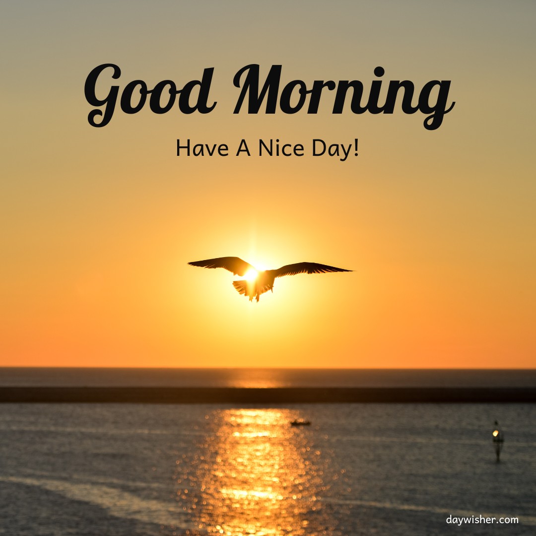 Serene sunrise scene with a bird soaring across the sky, perfectly silhouetted against the golden sun reflecting over the ocean. The image is enhanced with the inspirational greeting 'Good Morning, Have A Nice Day!' prominently displayed, capturing the essence of a peaceful, hopeful morning.