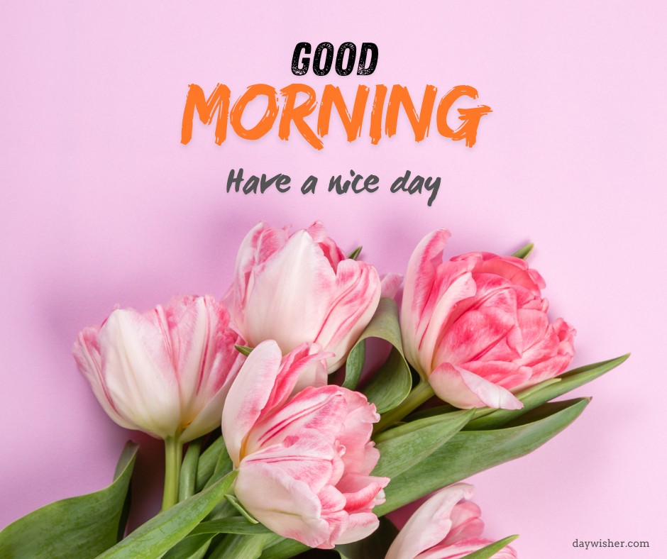 Vibrant pink and white tulips arranged against a soft pink background with 'Good Morning' and 'Have a nice day' in cheerful orange text.