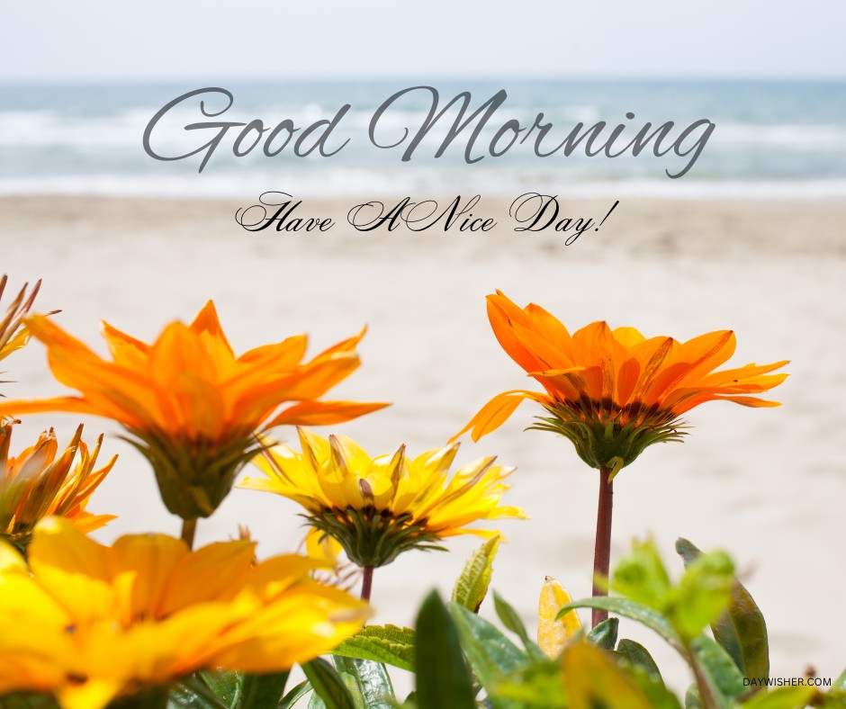 Bright orange and yellow flowers in the foreground with a beach and ocean in the background under a clear blue sky. Text overlay says "Good Morning, Have A Nice Day!".