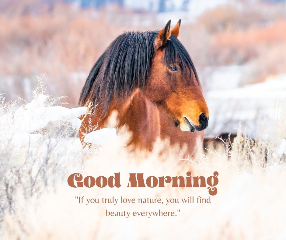 A beautiful good morning nature image featuring a brown horse standing in a snowy landscape. The text "Good Morning" is displayed above the quote, "If you truly love nature, you will find beauty everywhere." This serene image captures the essence of nature, making it perfect for a morning greeting.