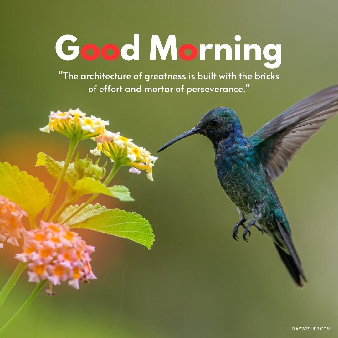 A hummingbird hovers near colorful flowers on a soft green background, embodying a good morning with nature's beauty, complemented by an inspirational quote about perseverance. Ideal for sharing as good morning flowers images.