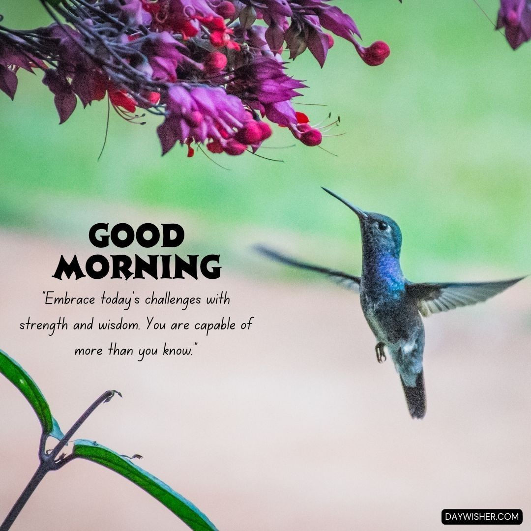 A hummingbird in mid-flight near vibrant pink flowers, set against a soft green background with the inspiring message 'Good Morning - Embrace today’s challenges with strength and wisdom. You are capable of more than you know.' 