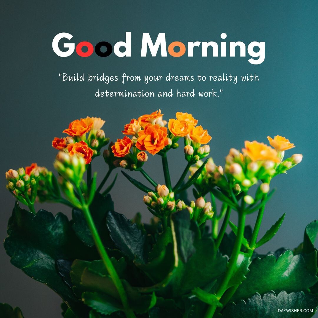 Vibrant orange flowers with a motivational good morning message, set against a dark background, adding a touch of inspiration and natural beauty to your morning