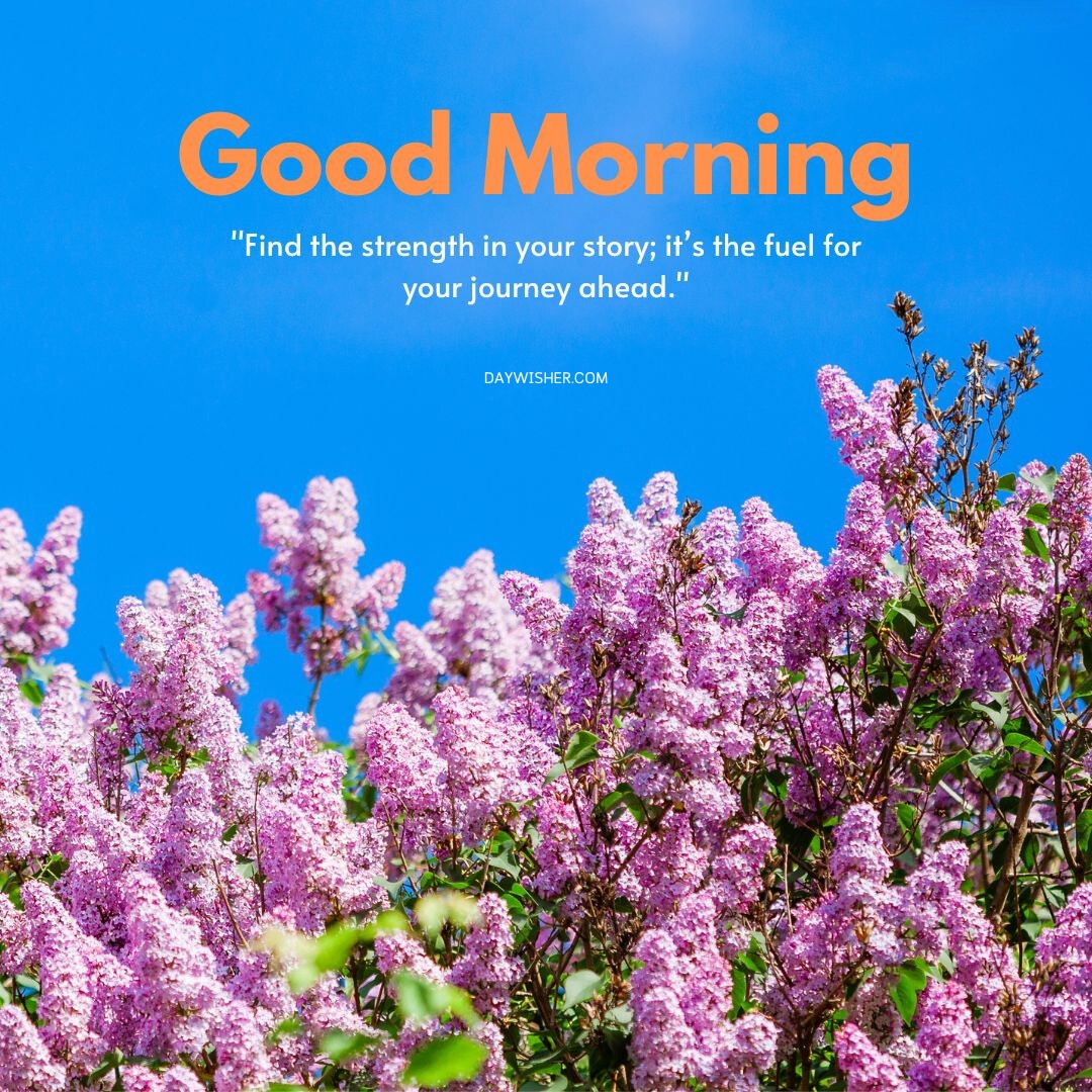 Vibrant lilac blossoms in full bloom set against a clear blue sky, featuring a good morning message about finding strength in your story, ideal as a good morning flowers image to inspire and energize for the day ahead.