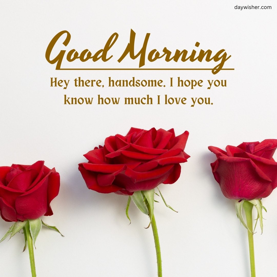 A serene image featuring three elegant red roses aligned horizontally on a clean white background, with a heartfelt "Good Morning" message in golden text expressing love. This image perfectly combines the timeless beauty of red roses with a warm, loving message, ideal for a romantic and uplifting morning greeting.