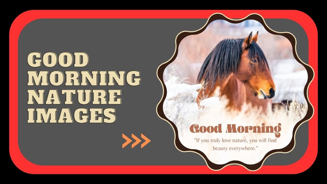 Good Morning Nature Images