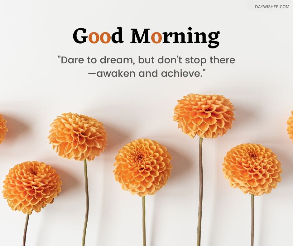 A stunning display of vibrant orange dahlias arranged symmetrically on a clean white background, embodying a bright and cheerful good morning. The image is complemented by an inspiring quote about dreaming and achieving, making it a perfect good morning flowers image to motivate and encourage a positive start to the day.