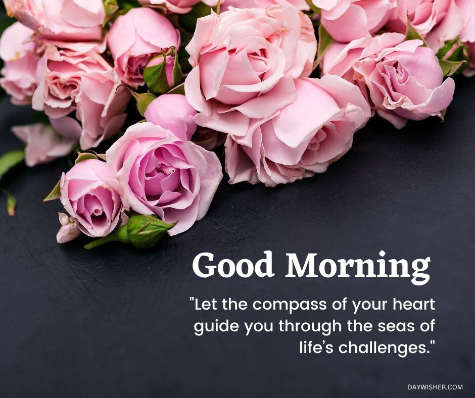 A cluster of delicate pink roses arranged on a dark slate background, providing a striking contrast. Each rose is in full bloom, symbolizing freshness and new beginnings, paired with a good morning quote about following the heart's guidance. Ideal for sharing as good morning flowers images to inspire and uplift