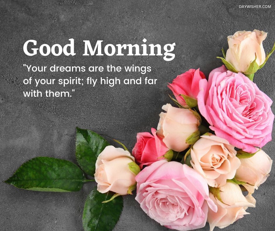 A beautiful arrangement of pink and peach roses on a textured gray background with an inspiring good morning message about dreams and spirit, perfect for a good morning flowers image that encourages aspiration and positivity.